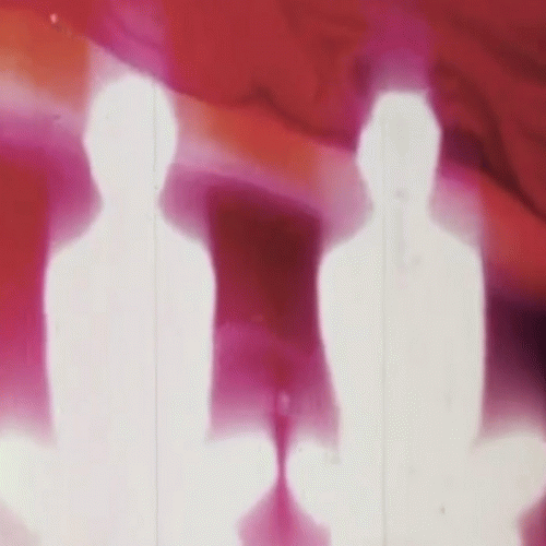 Starer : The Great Trudge